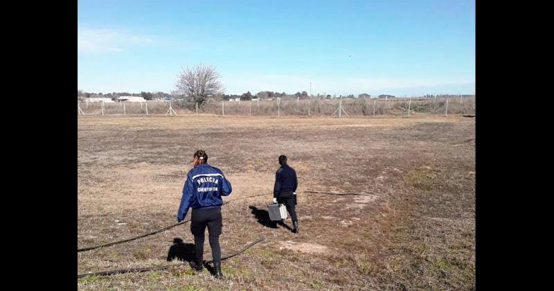 Desconocidos provocaron dantildeos y robaron cable subterraacuteneo en la Planta Depuradora de Loma Negra