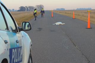 La Madrid- una persona fallecioacute en un traacutegico accidente en la ruta 76