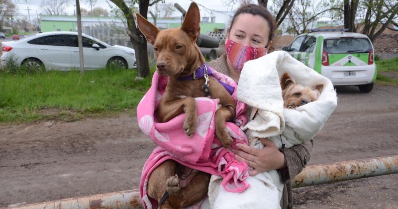 Esta semana el Quiroacutefano Veterinario Moacutevil estaraacute en Barrio Isaura