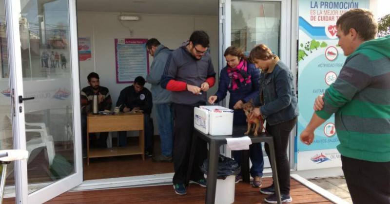 Habraacute vacunacioacuten antirraacutebica en el Paseo de la Salud