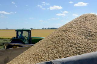 El Banco Central aproboacute un nuevo instrumento para incentivar al agro a liquidar la cosecha