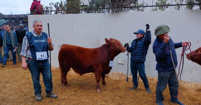 Gran convocatoria en la Exposicioacuten Rural de Palermo