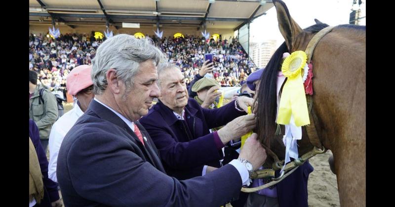 Nicol�s Pino y Juan Schiaretti ponen la cucarda al mejor caballo criollo de la Exposición de Palermo