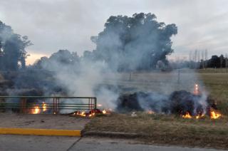 Incendios intencionales a la vera del arroyo