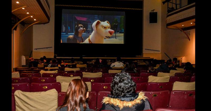 En Escobar se realizoacute la primera funcioacuten de cine para perros de Sudameacuterica