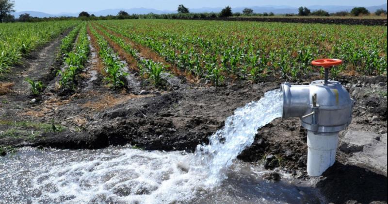 Bruselas recomienda reutilizar aguas residuales tratadas para riego agriacutecola