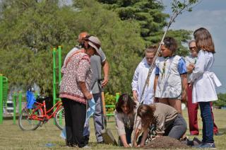 Nueva intervencioacuten del programa Replantando Olavarriacutea