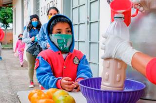 La insuficiencia en los ingresos generó reducción del 67-en-porciento- en el consumo de carne y del 40-en-porciento- en la ingesta de frutas verduras y lcteos