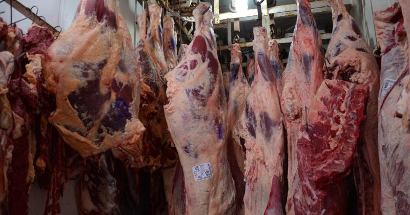 Carne- el nivel de consumo se mantiene pero la gente se vuelca hacia cortes maacutes econoacutemicos