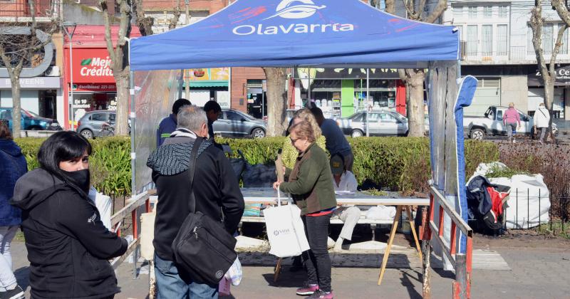 Exitosa convocatoria en la poda anual de rosas en la Plaza Central