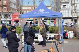 Exitosa convocatoria en la poda anual de rosas en la Plaza Central