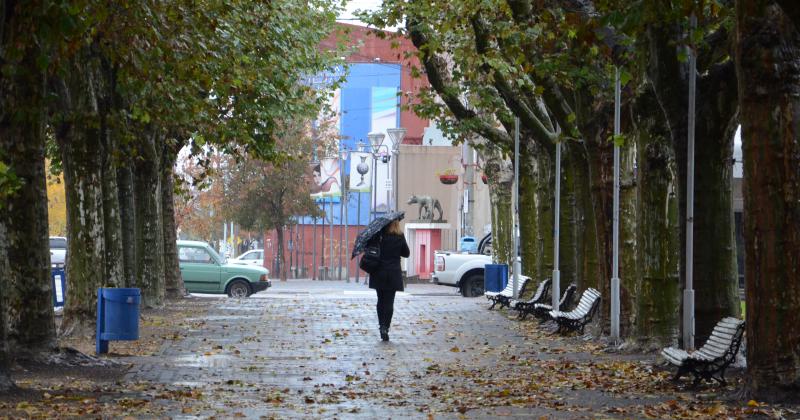 Alerta amarilla por tormentas y vientos para este viernes y saacutebado