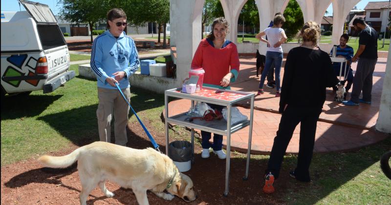 Calendario de vacunacioacuten antirraacutebica- conoceacute donde podraacutes vacunar a tu mascota