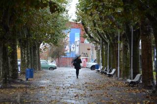 Alerta amarilla por tormentas y vientos para este viernes y saacutebado