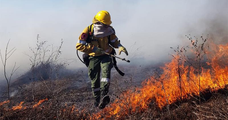 Incendios en el Delta del Paranaacute- los focos estaacuten controlados y contenidos