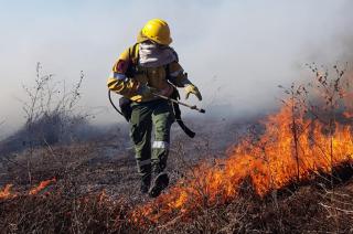 Incendios en el Delta del Paranaacute- los focos estaacuten controlados y contenidos