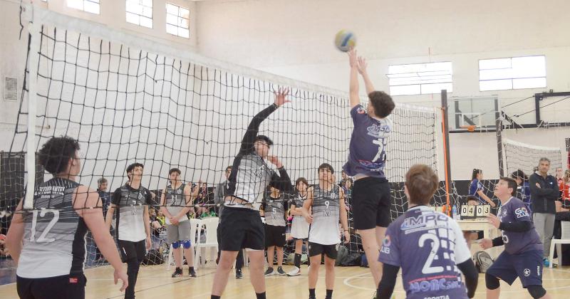 Distintas categorías disfrutaron de un día a pleno vóleibol