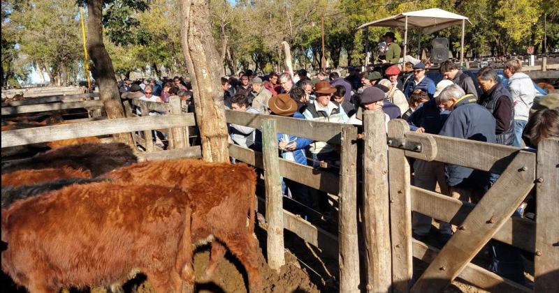 La agroindustria genera maacutes de un tercio de la fuerza laboral del paiacutes