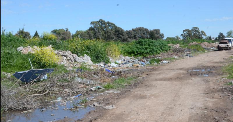 Este jueves en el HCD se trataraacute un proyecto para erradicar los microbasurales