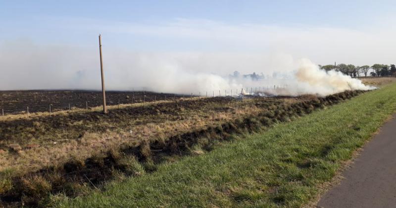 Intenso trabajo de Bomberos por incendios en campos