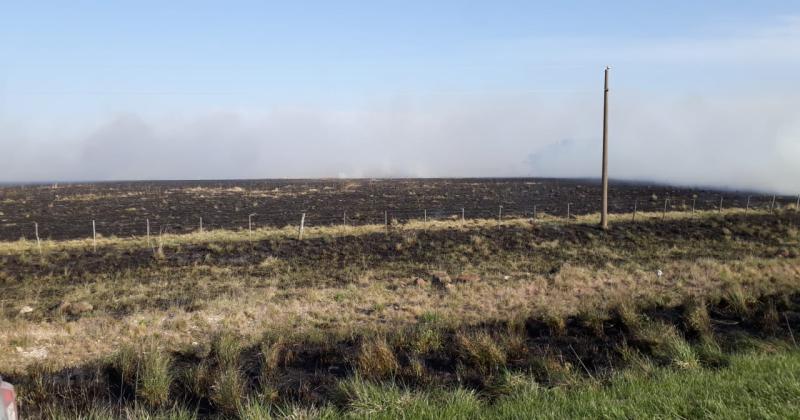 Intenso trabajo de Bomberos por incendios en campos