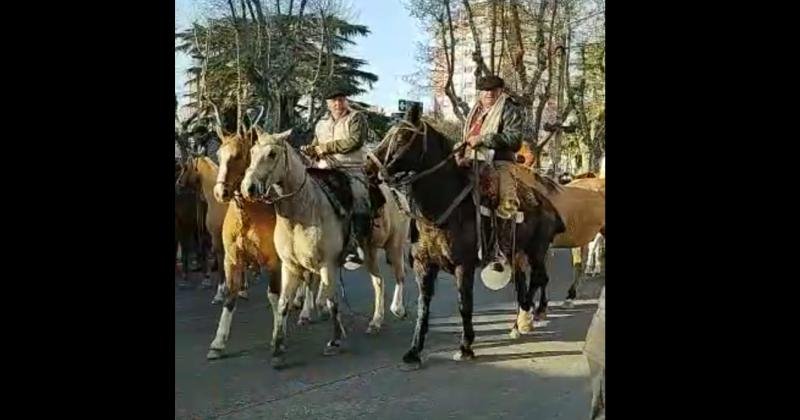 Los Gauchos Peregrinos partieron hacia la Basiacutelica de Lujaacuten