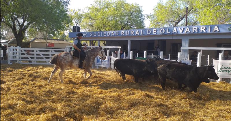 Otro exitoso remate anual de la Cabantildea Lomas Pampas