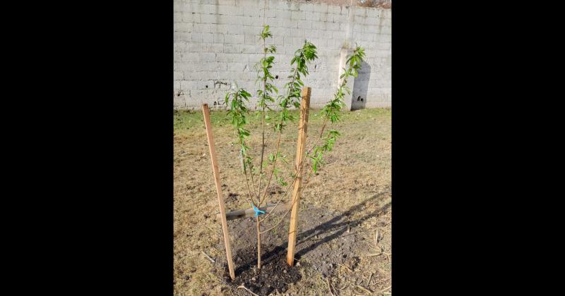 Proyecto Peronista festejoacute la primavera en el Hogar San Joseacute