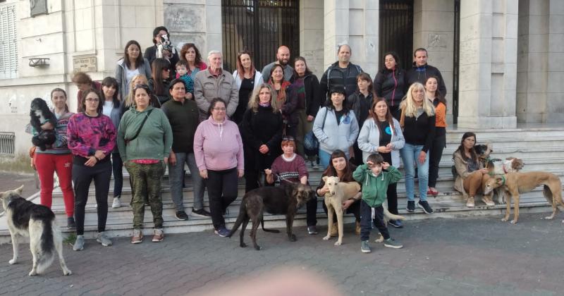 Se movilizaron y pidieron justicia por el envenenamiento de dos perras 