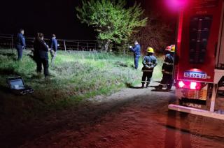 Boliacutevar- una nintildea de 10 antildeos estaacute grave tras ser atacada por una jauriacutea de perros