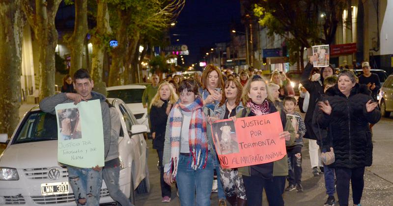 Marcharon y pidieron justicia por Tormenta la perra asesinada 