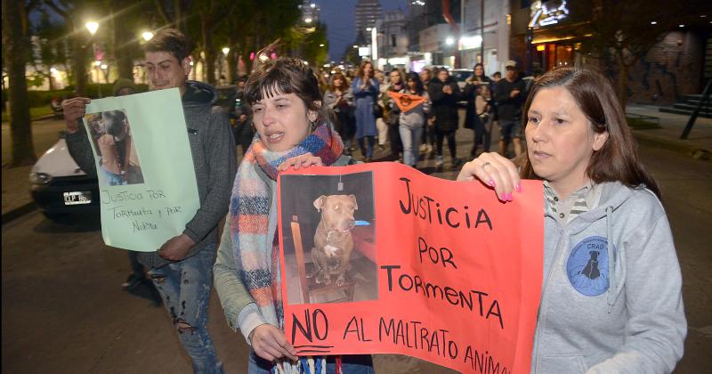 Marcharon y pidieron justicia por Tormenta la perra asesinada 