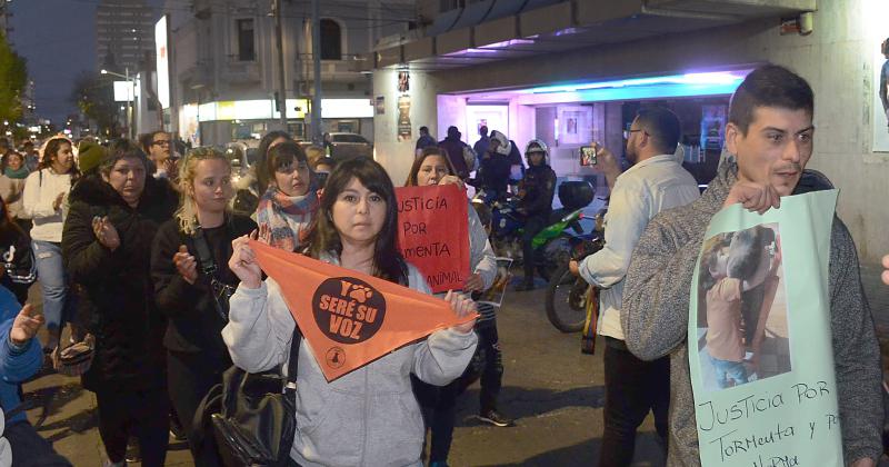 Marcharon y pidieron justicia por Tormenta la perra asesinada 