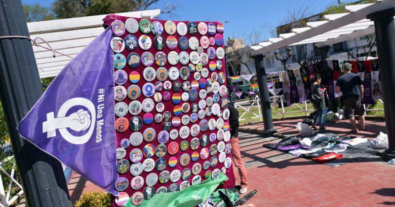 Comenzoacute en San Luis el 35deg Encuentro Plurinacional de Mujeres