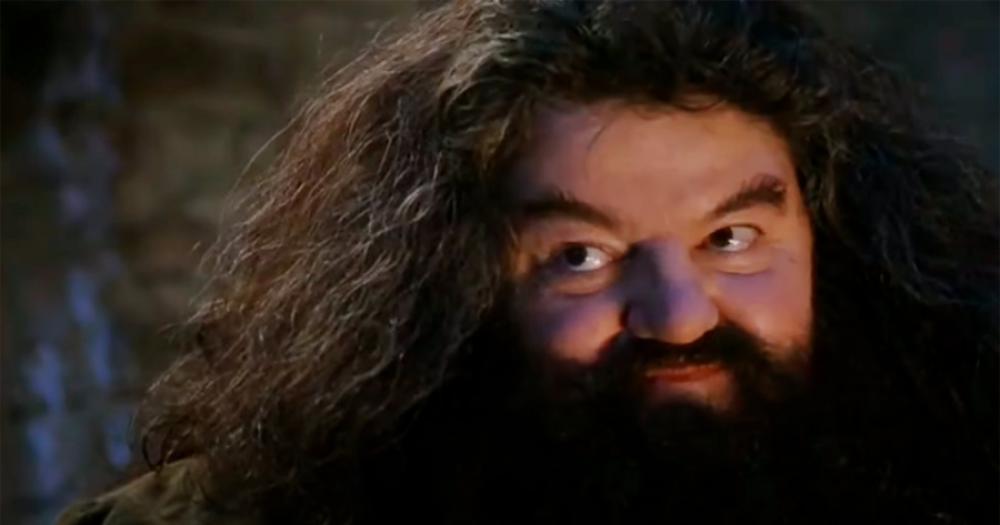 Robbie Coltrane el inolvidable Hagrid de Harry Potter murioacute a los 72 antildeos