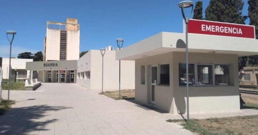 Lincoln- una bebeacute de 18 meses murioacute tras ser picada por una arantildea 