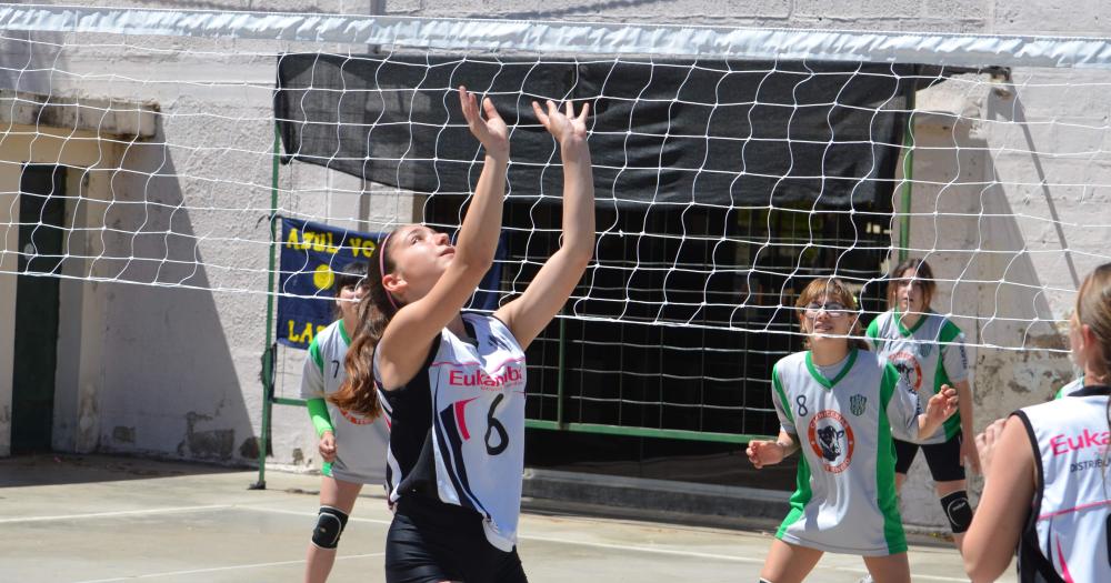 El Voley Futuro se vivioacute en Estudiantes 