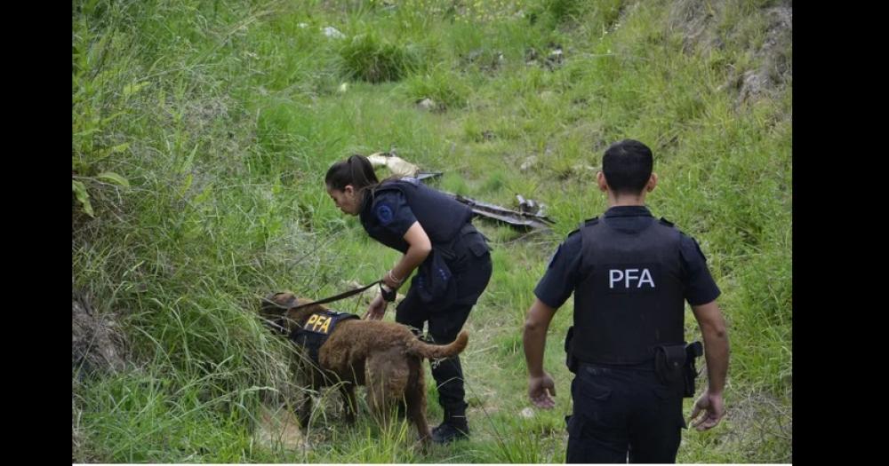 Pidieron la detencioacuten del hombre donde se encontroacute gran cantidad de cocaiacutena