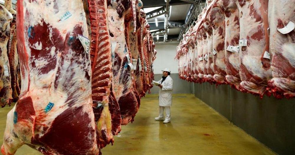 La carne de bovino argentina logroacute ingresar al mercado mexicano