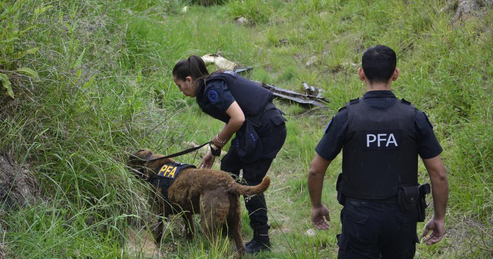 Detuvieron a Walter Gallastegui el hombre capturado con gran cantidad de cocaiacutena