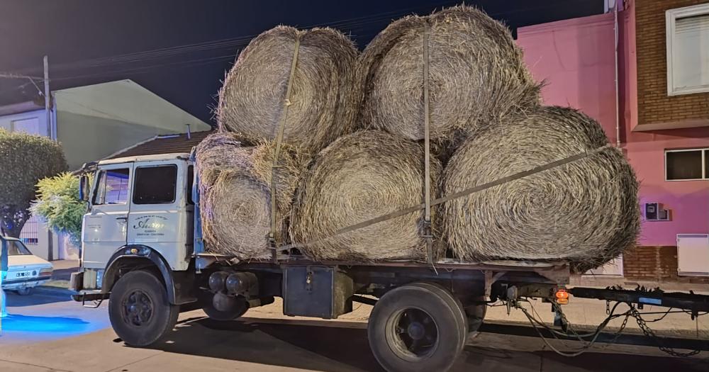 Conduciacutea con 30 rollos de pastura sin proteccioacuten y fue infraccionado