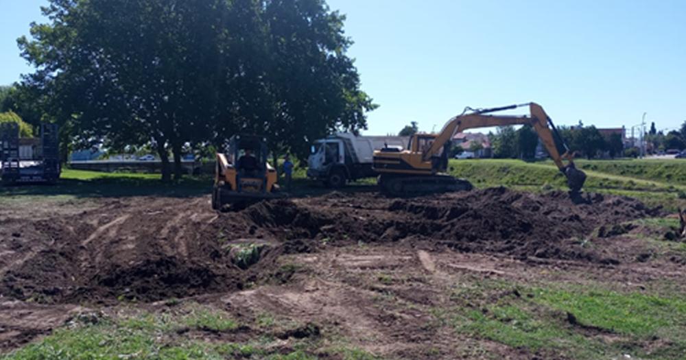 Removieron dos aacuterboles en la zona del arroyo Tapalqueacute para realizar obras hidraacuteulicas