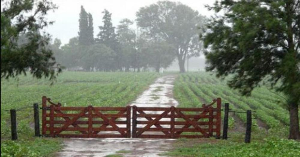 Llegaron las lluvias a la regioacuten pampeana y se frena el deterioro de los cultivos