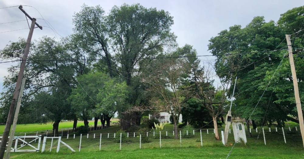 El temporal generoacute dantildeos en las instalaciones eleacutectricas y caiacuteda de postes en la zona rural