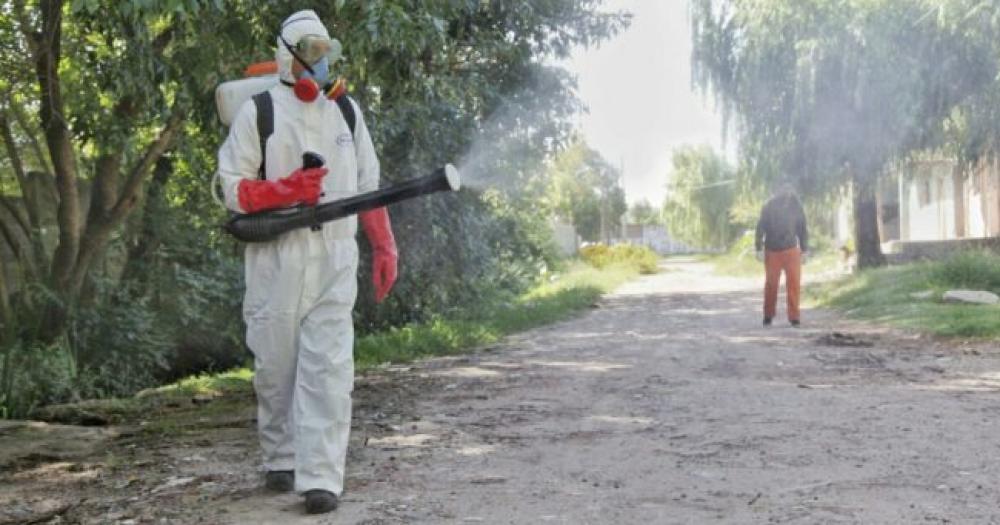 La provincia investiga un posible brote de chikungunya- hay tres casos autoacutectonos