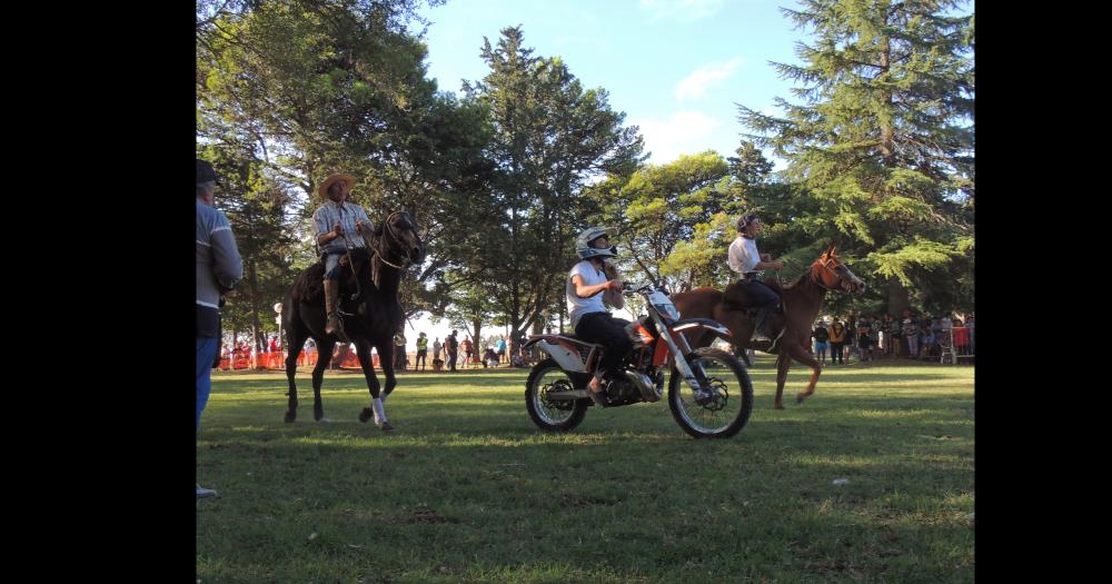 Los cl�sicos desafíos entre vehículos y animales fue uno de los momentos esperados por presentes en las instalaciones del Balneario