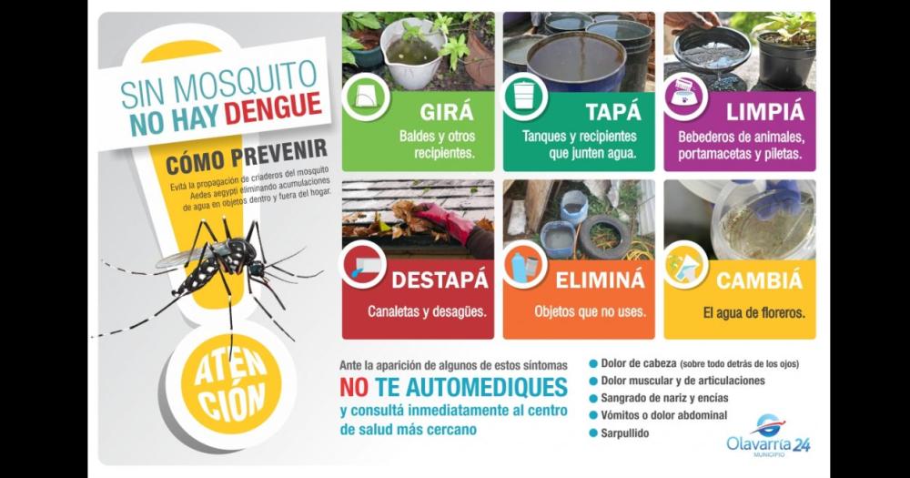 Tras hallazgo de mosquito Aedes Aegypt recomiendan medidas para evitar su proliferacioacuten