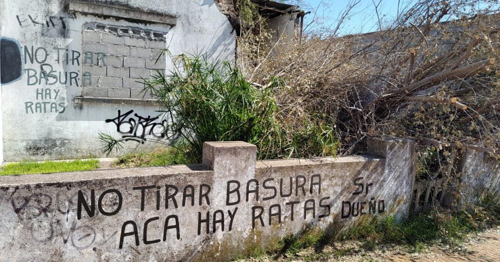 San Vicente- vecinos y concejales de la UCR reclaman por el estado de una casa abandonada