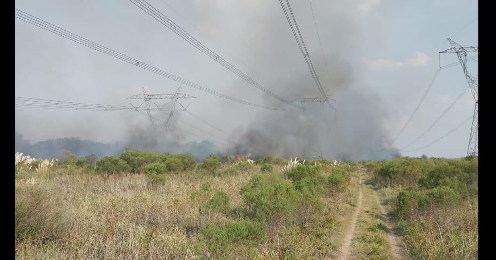 Un incendio provocó inconvenientes en una línea de alta tensión de 500 kw que une Campana con Gral Rodríguez (Secretarías de Energía)