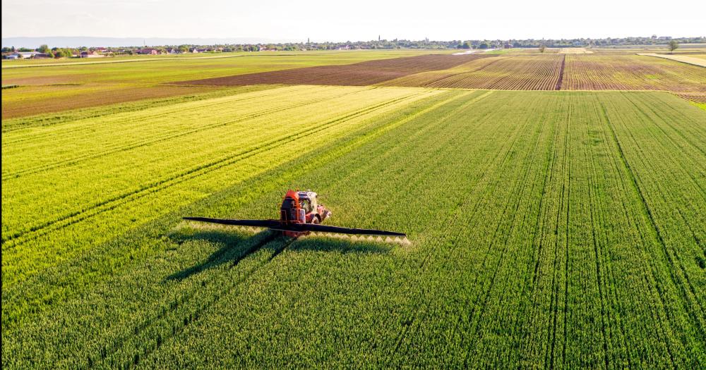 Ya llega Expoagro- conectividad e Internet en el sector agropecuario